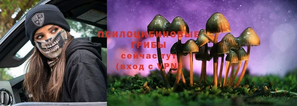 СК Зеленодольск