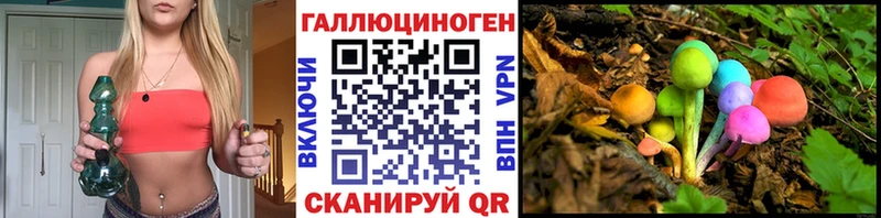 Псилоцибиновые грибы Cubensis Морозовск