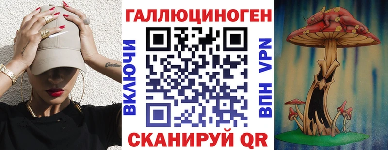 Псилоцибиновые грибы Psilocybe  Купить где  Морозовск 