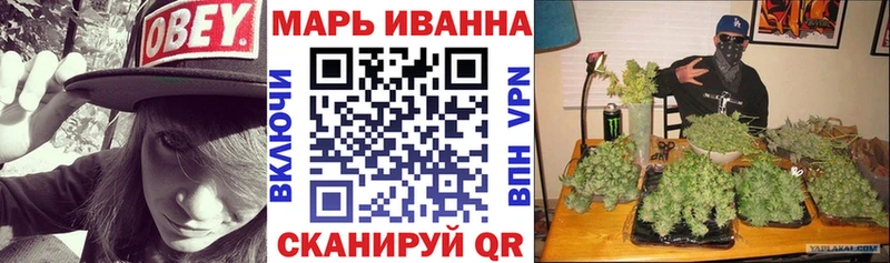Купить закладки  Морозовск  Конопля сатива 